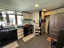 The Tanamera (D16), Condominium #477568031